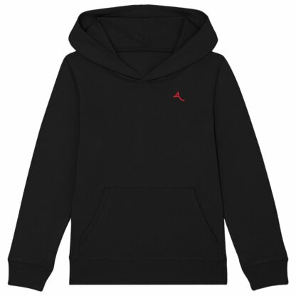 SWEAT CAPUCHE épais Enfant logo Anquy