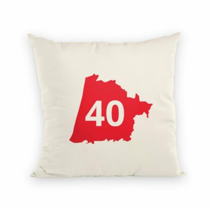 COUSSIN 40 Landes